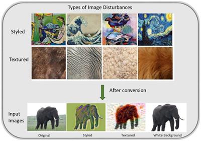 Interpreting the decisions of CNNs via influence functions